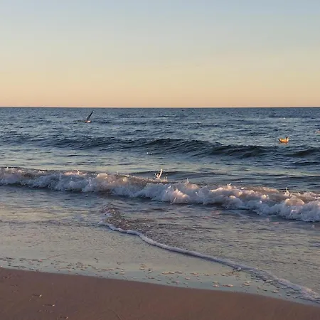 דירה Awesome In With Wifi Dziwnów