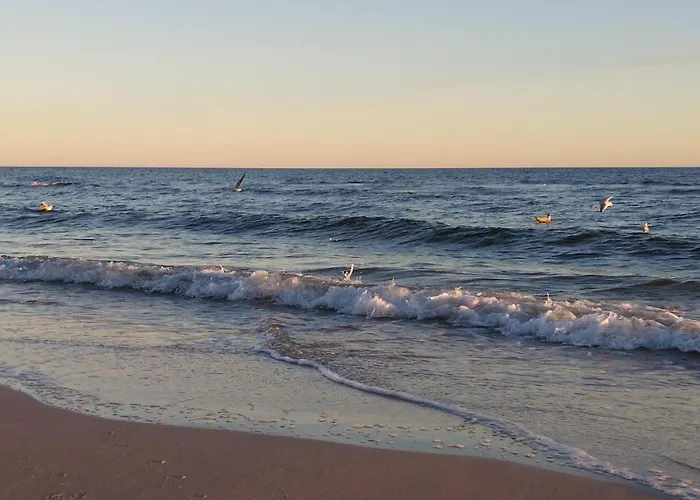 Apartmán Awesome In With Wifi Dziwnów